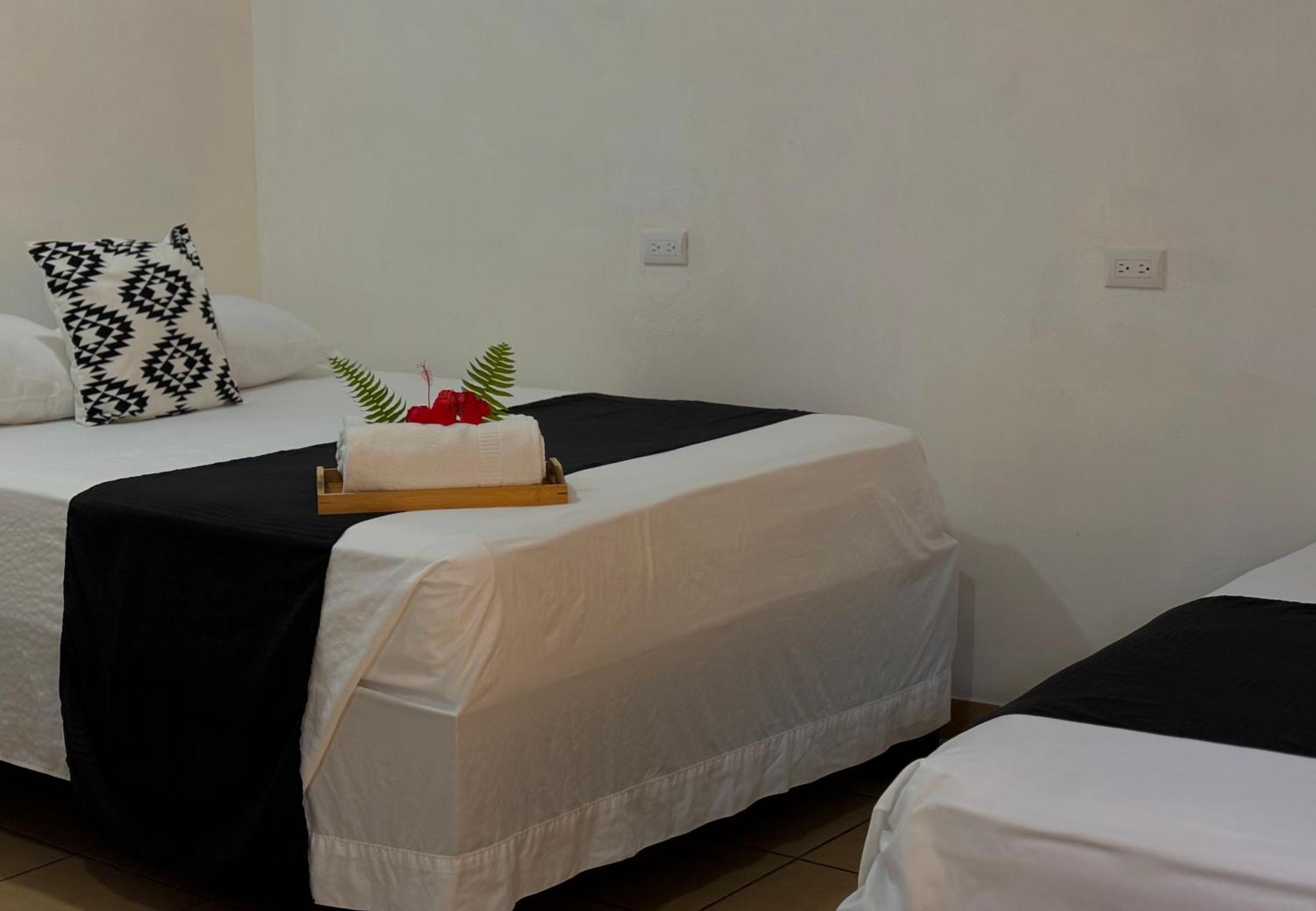 Carey Lodging Тортугеро Экстерьер фото